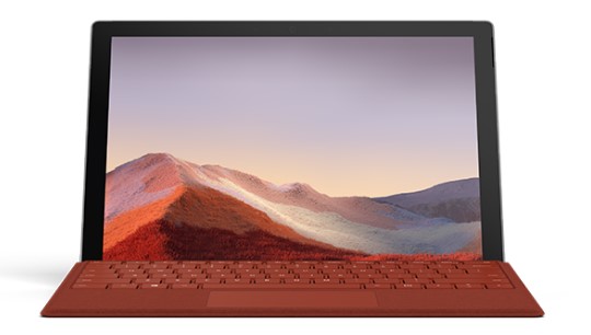 扶余清洁和维护 Surface